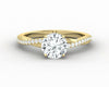 Demi 1.0 Ct Round Cut Engagement Ring with Side Stones