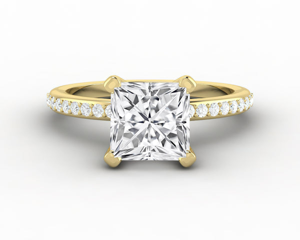 Eleonora 2.0 Ct Princess Cut Engagement Ring with Side Stones